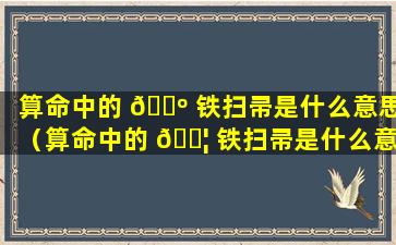 算命中的 🌺 铁扫帚是什么意思（算命中的 🐦 铁扫帚是什么意思呀）